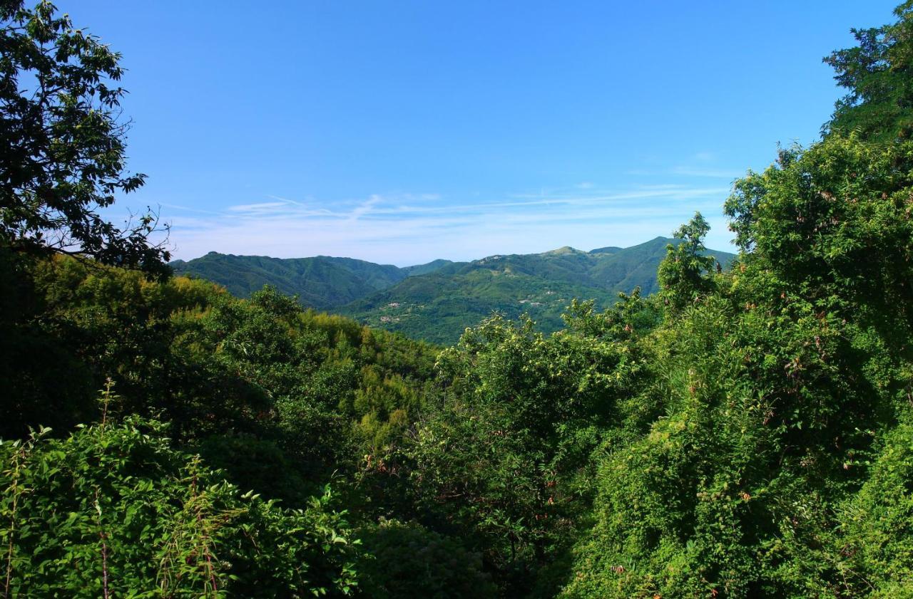 Hotel Podere Conti Filattiera Dış mekan fotoğraf
