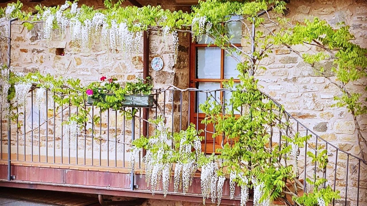 Hotel Podere Conti Filattiera Dış mekan fotoğraf