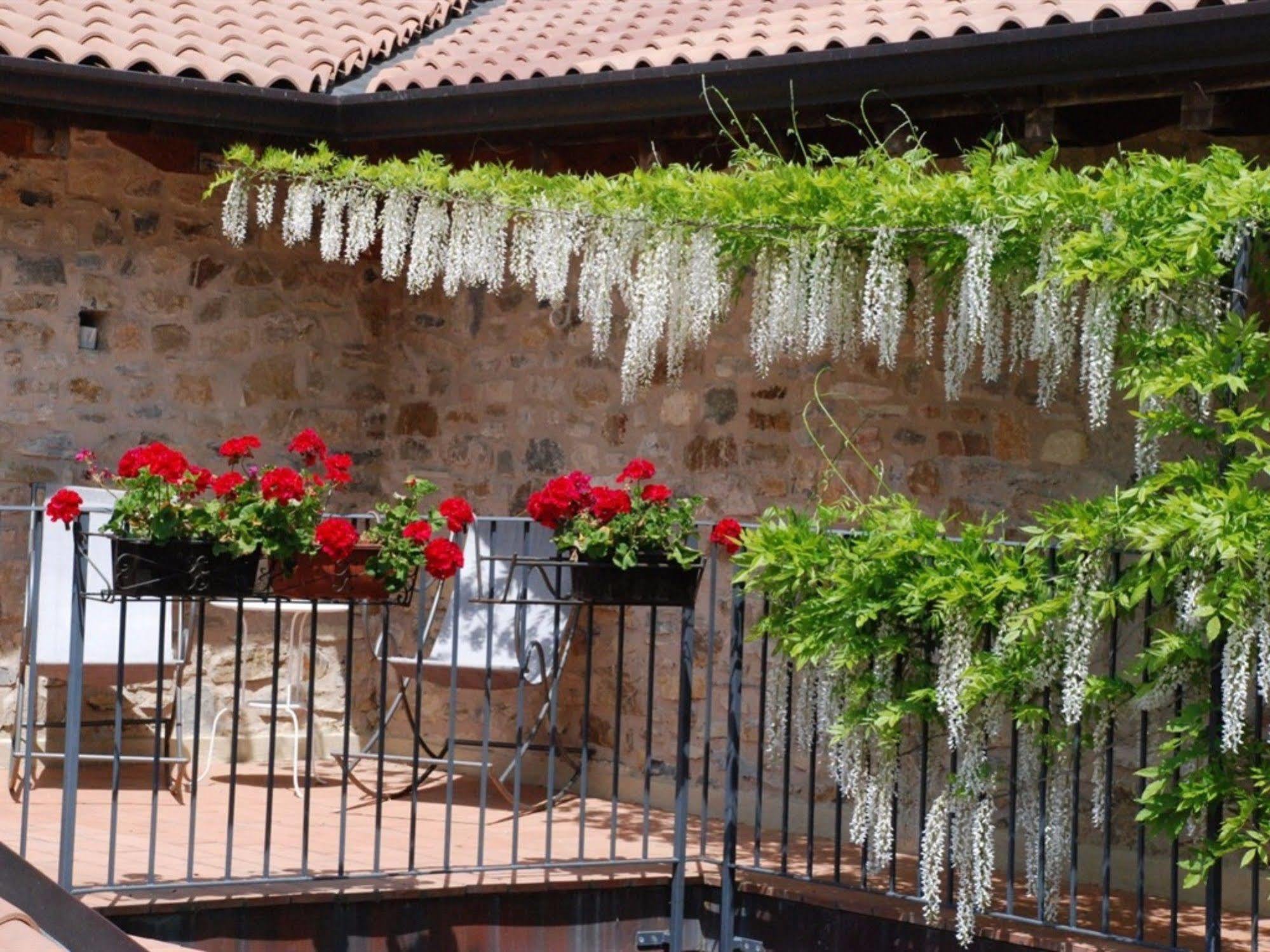 Hotel Podere Conti Filattiera Dış mekan fotoğraf